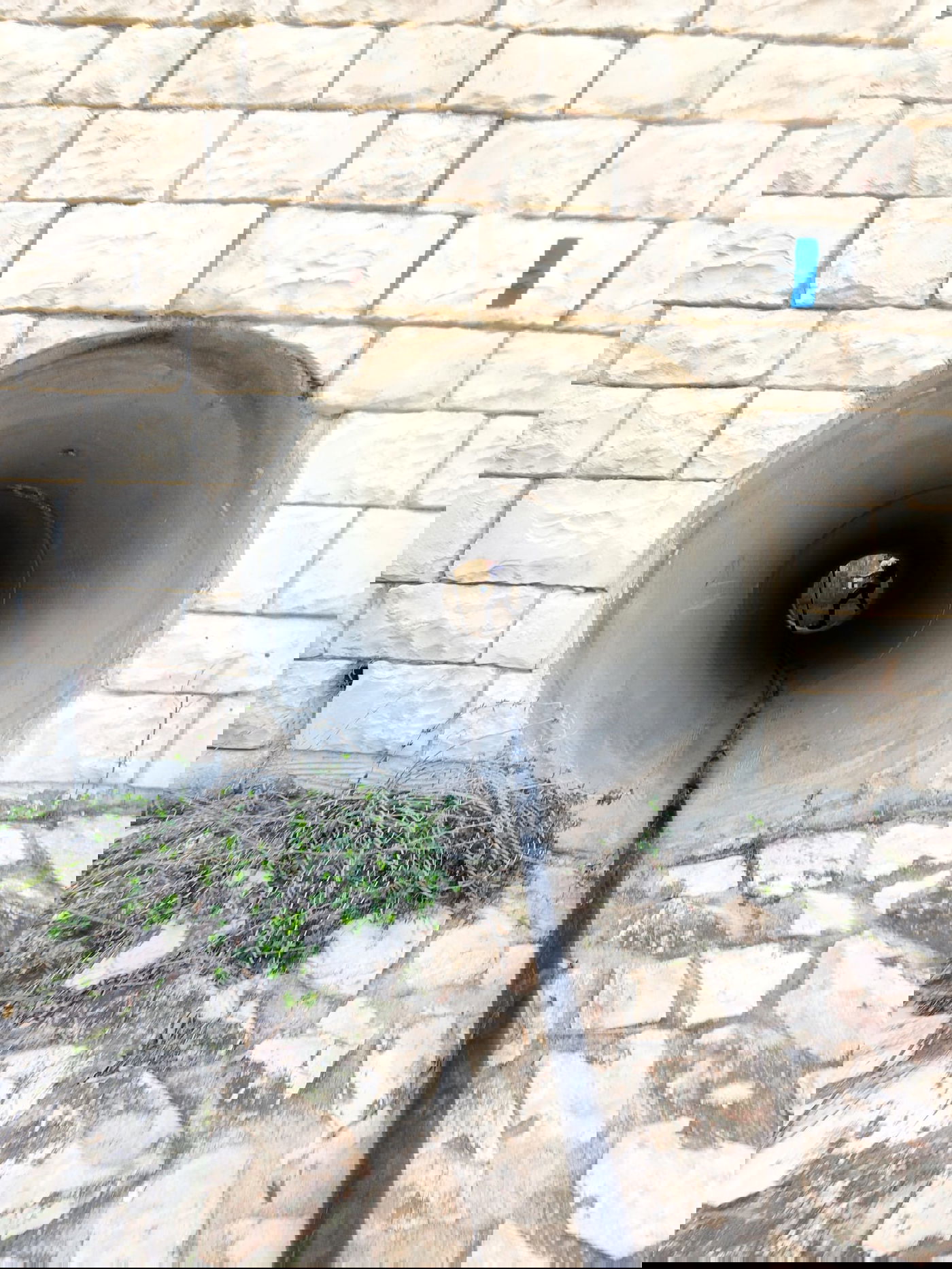 בדרך למערת שמשון הגיבור