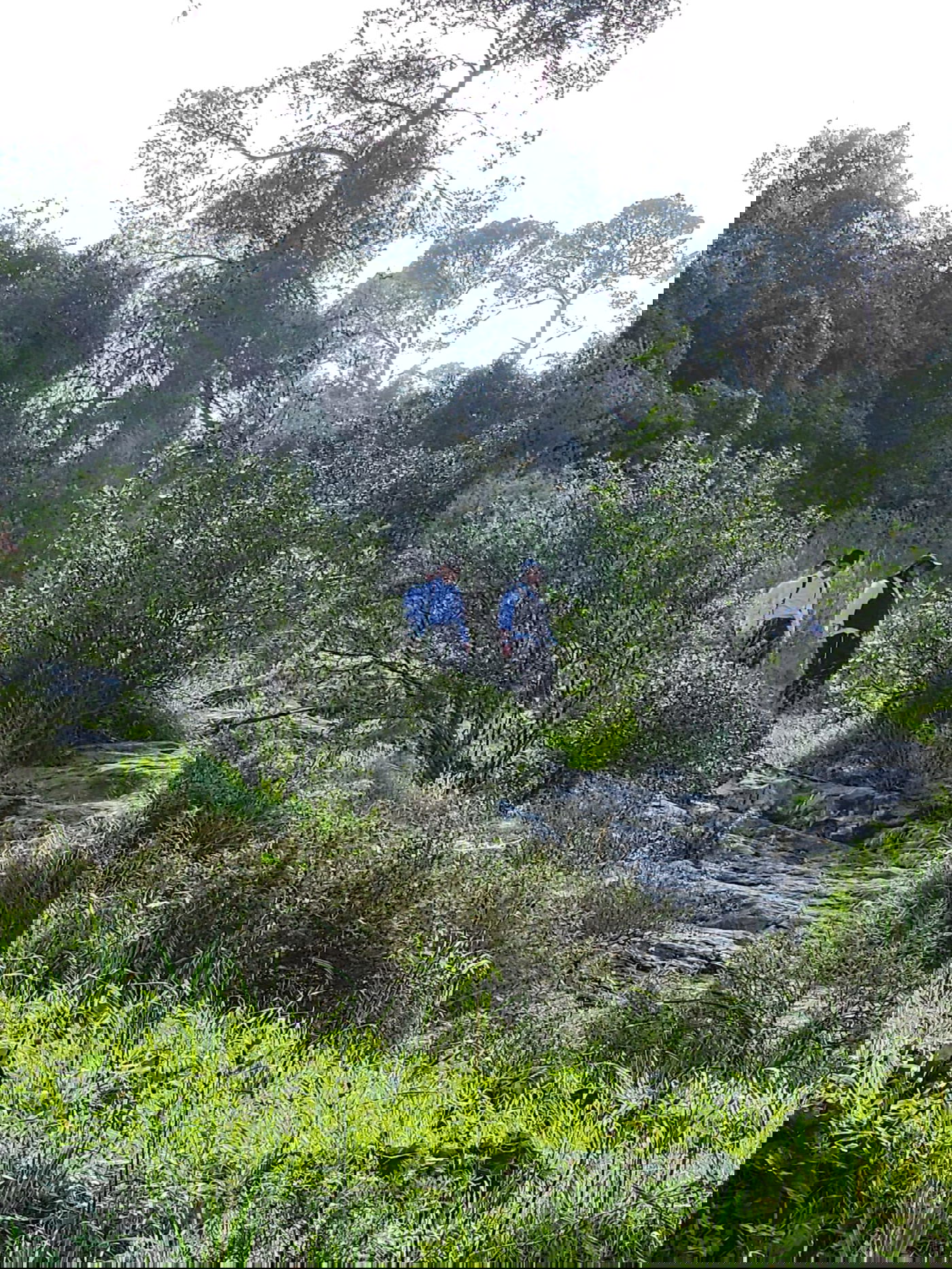 בדרך למערת שמשון הגיבור