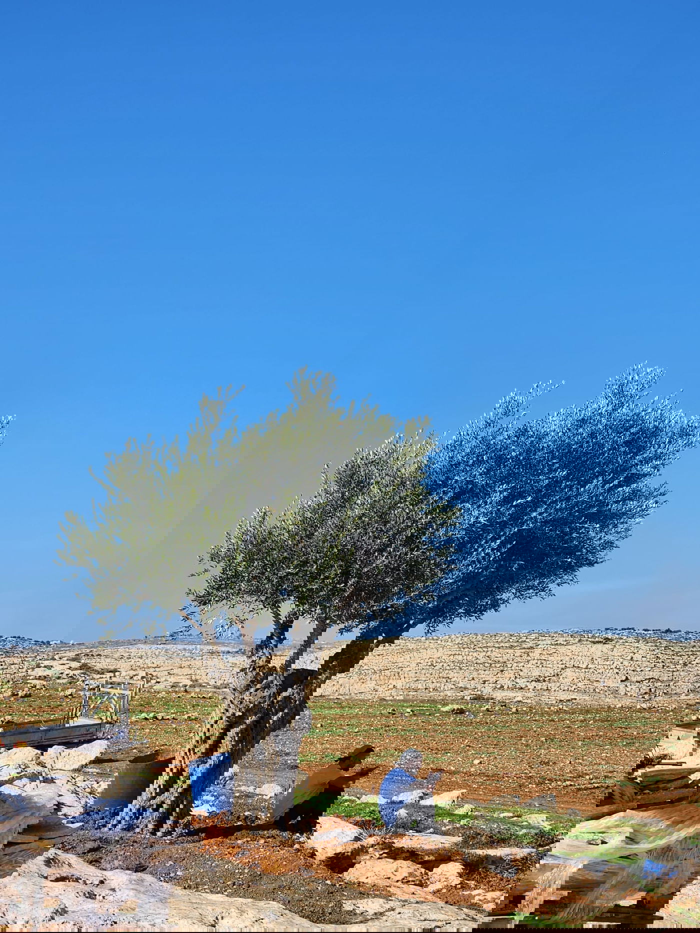 התצפית החדשה