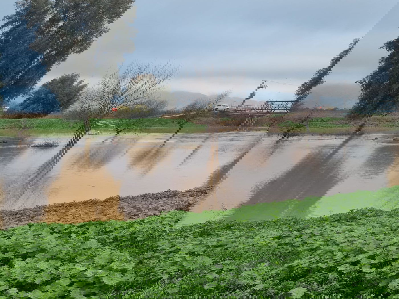 הירדן ליד גשר החמישה