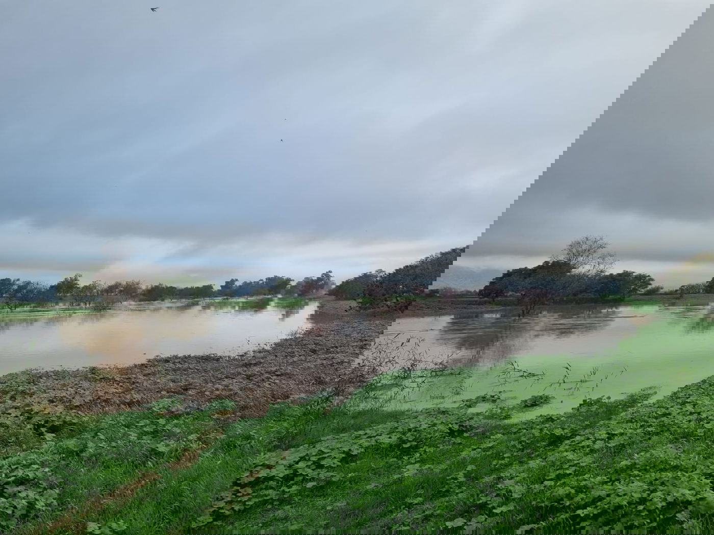 הירדן ליד גשר החמישה