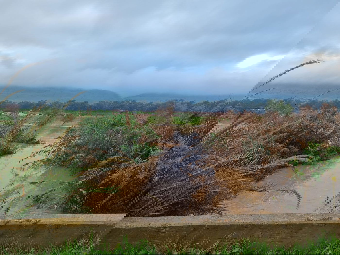 הירדן ליד גשר החמישה