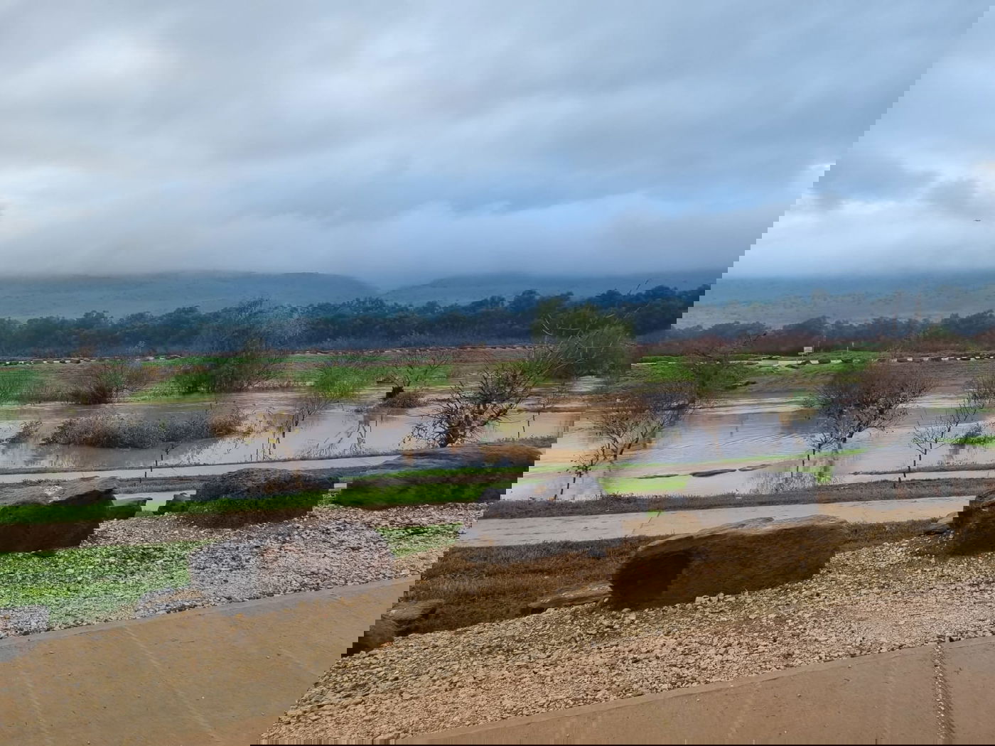 הירדן ליד גשר החמישה