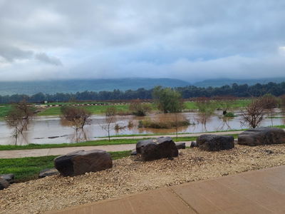 הירדן ליד גשר החמישה
