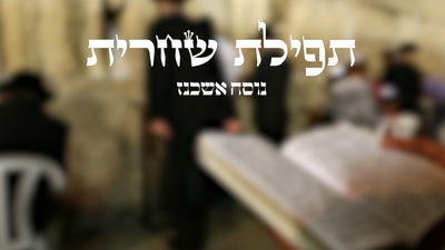 תפילת שחרית // נוסח אשכנז בצורה נוחה לקריאה | כיכר השבת