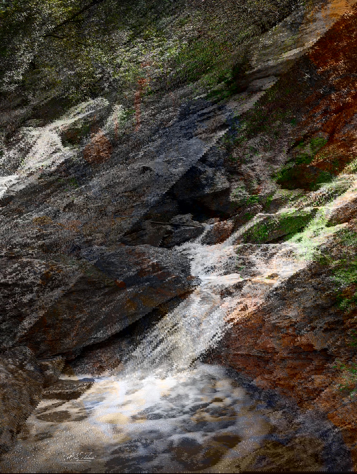 נחל קדש, השבוע