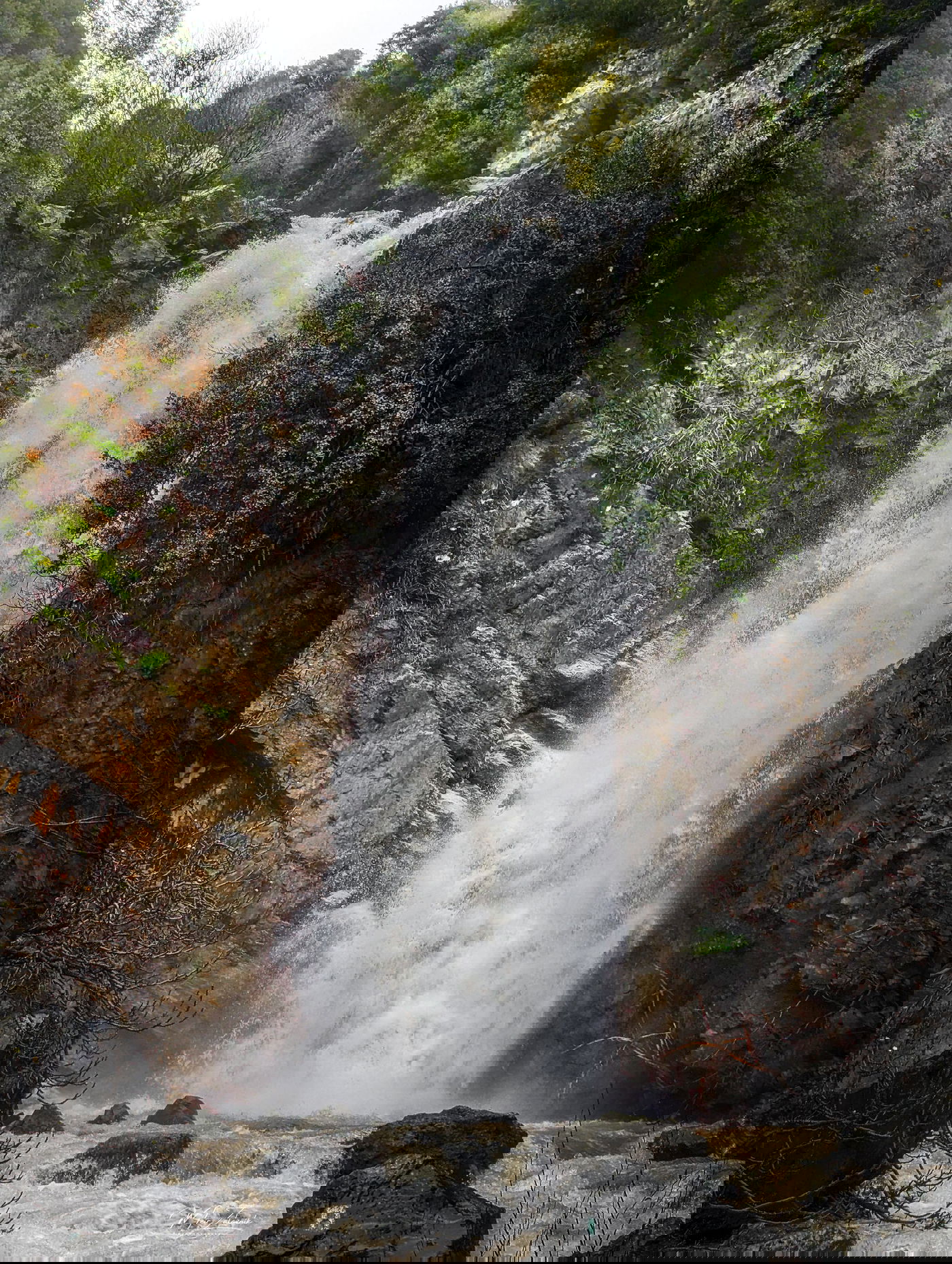 נחל סער | ארכיון