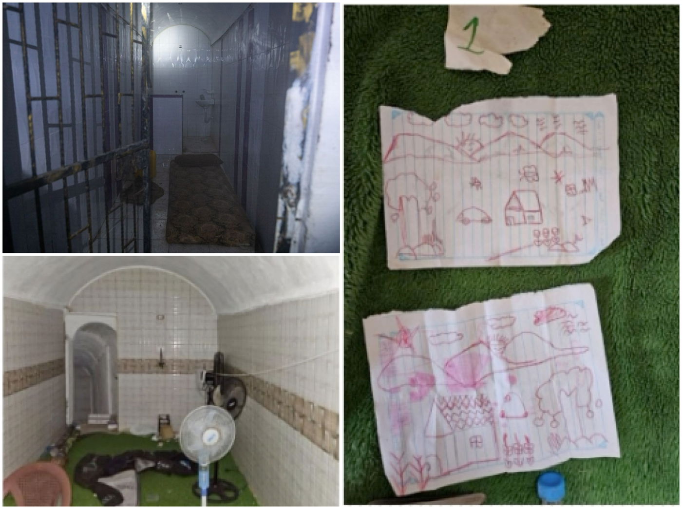 התיעודים שנחשפו הערב