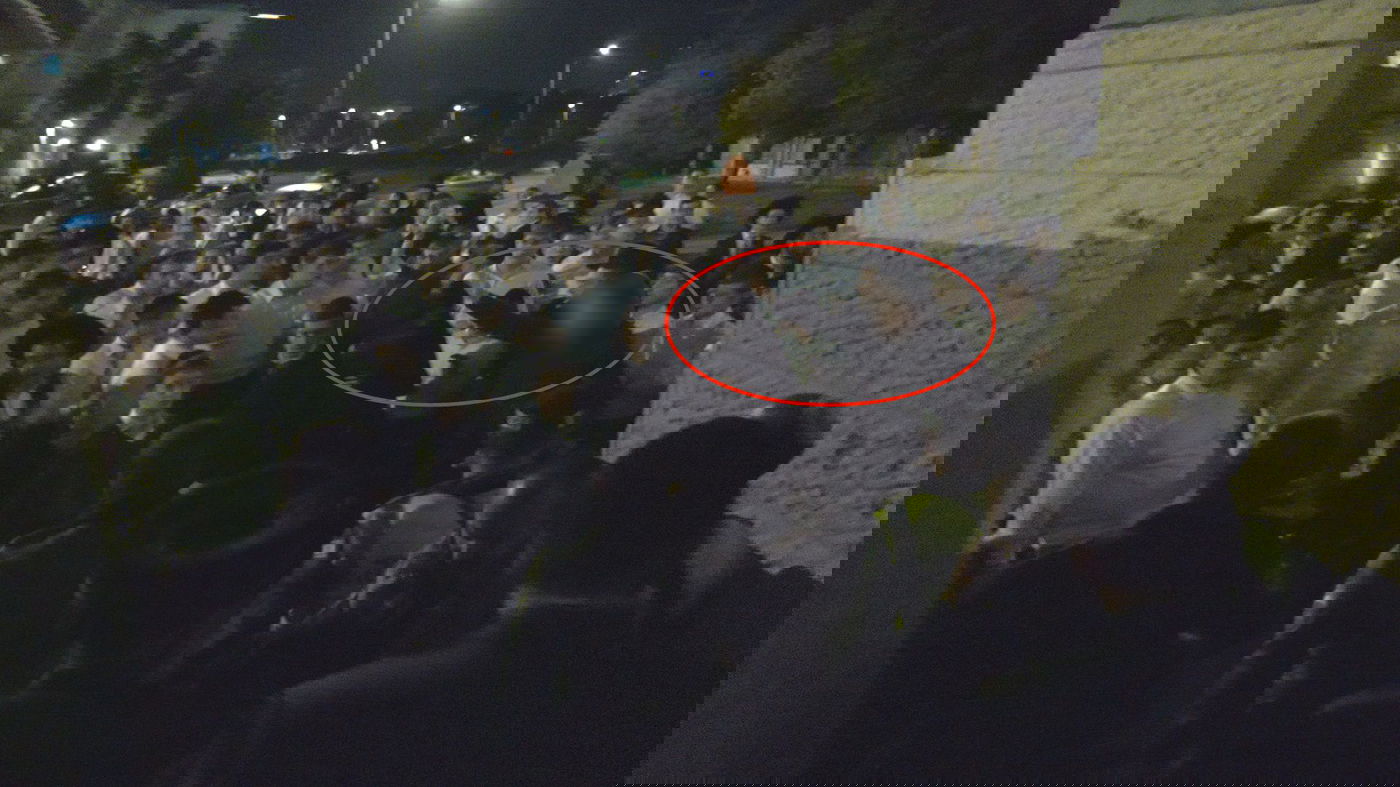 התפרעויות 'הפלג' האשדודי בכינוס