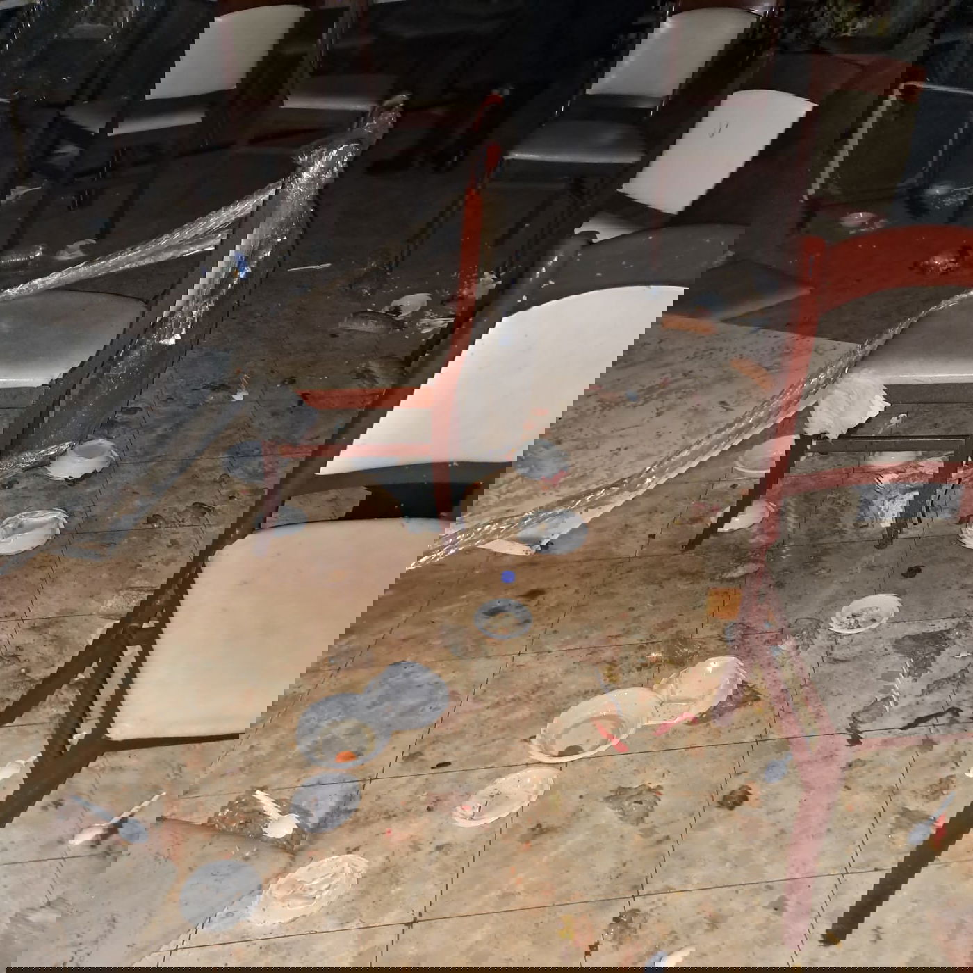 'הפלג' האשדודי הפגין בסערה על הרב ההונגרי השנוי במחלוקת