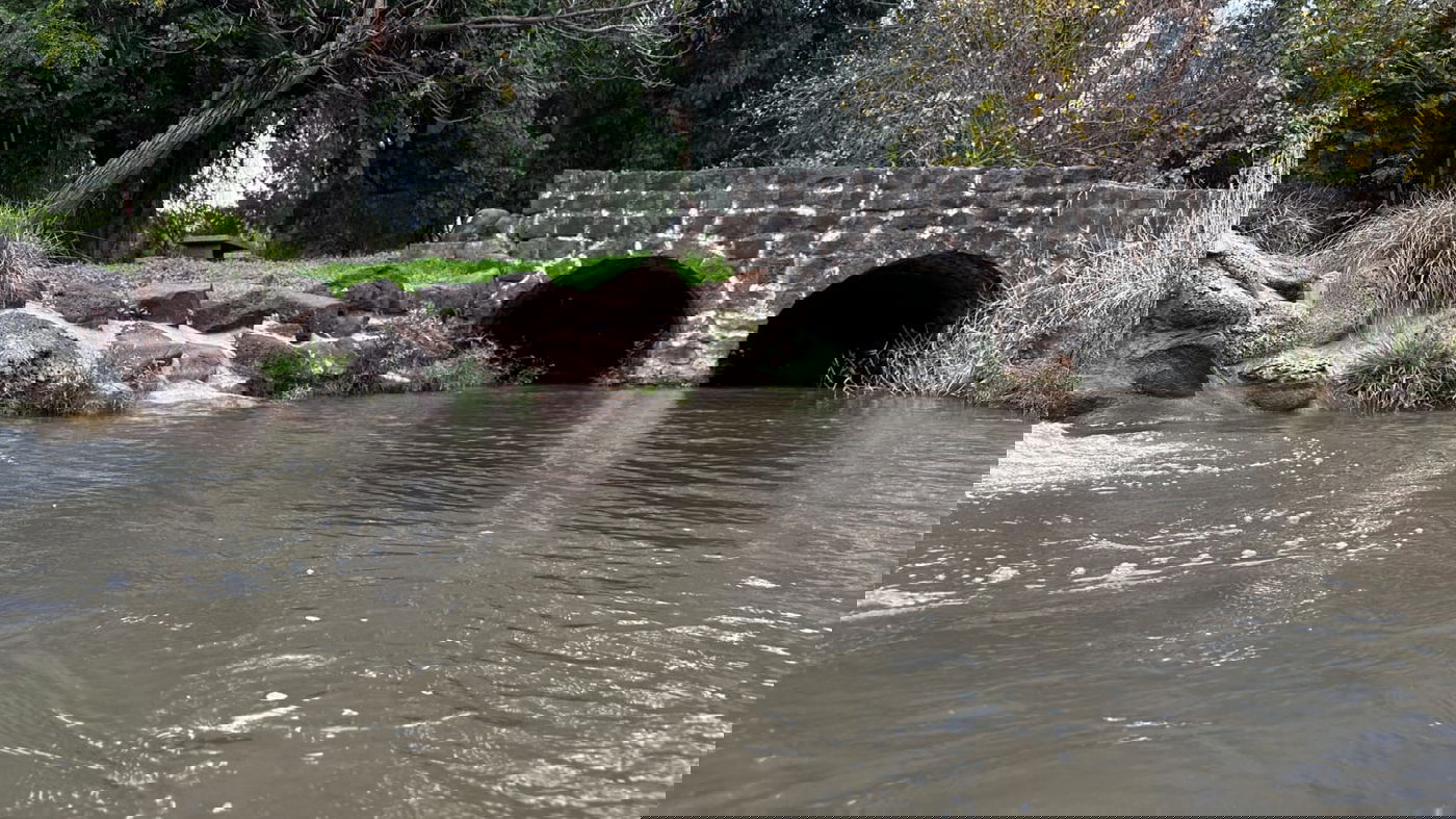 תחזית מזג האוויר: התקררות קלה ביום, בערב יתחיל גשם