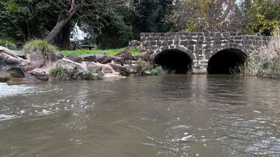 תחזית מזג האוויר: התקררות קלה ביום, בערב יתחיל גשם 