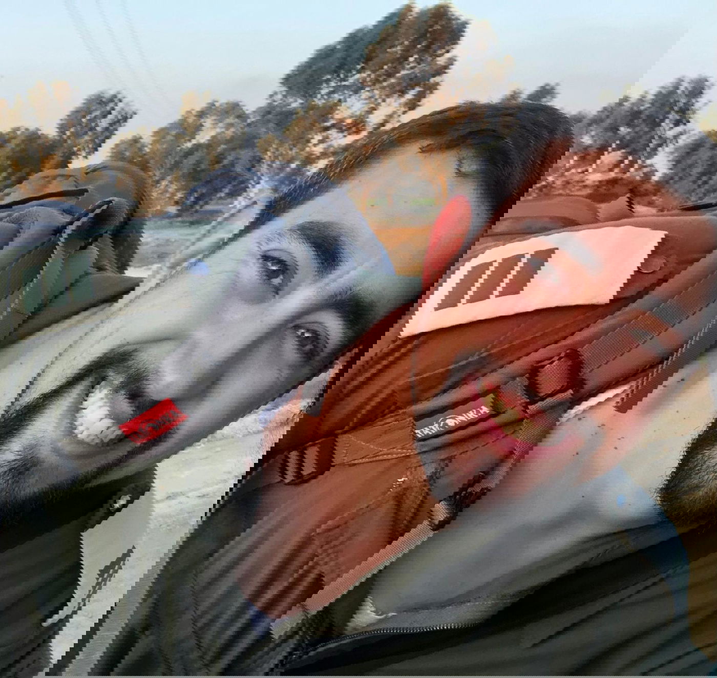 אריאל מרדכי וולפסטל הי"ד