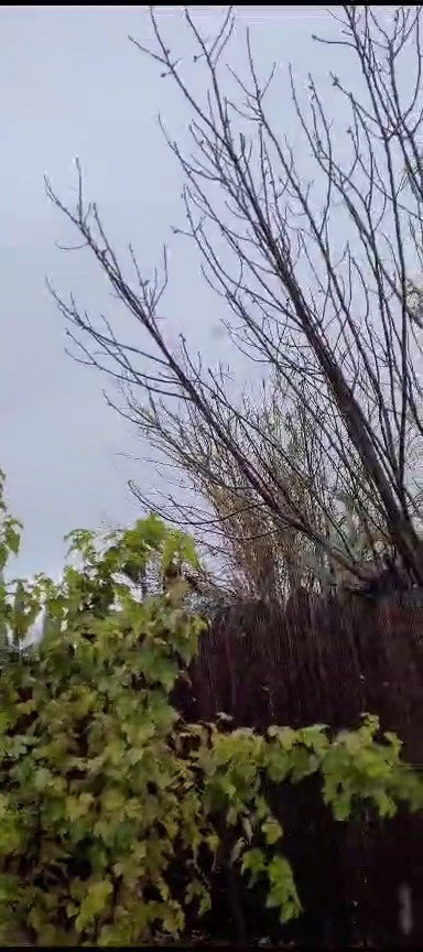 המטח לגליל - ברחבי הגליל נשמעו שריקות הרקטות