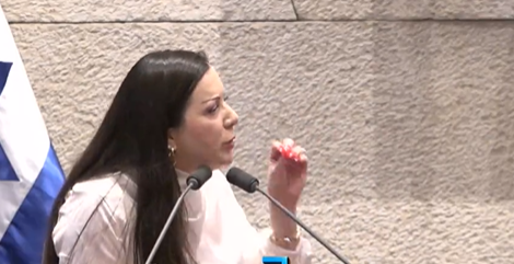 גוטליב במליאה, היום