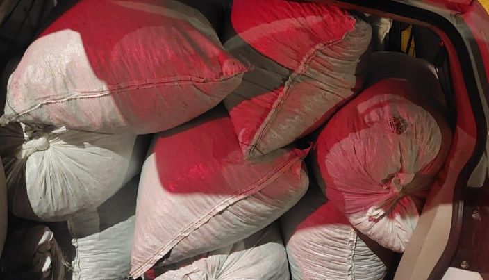 ערב ט"ו בשבט: גניבת ענק של שקדים מבית שאן