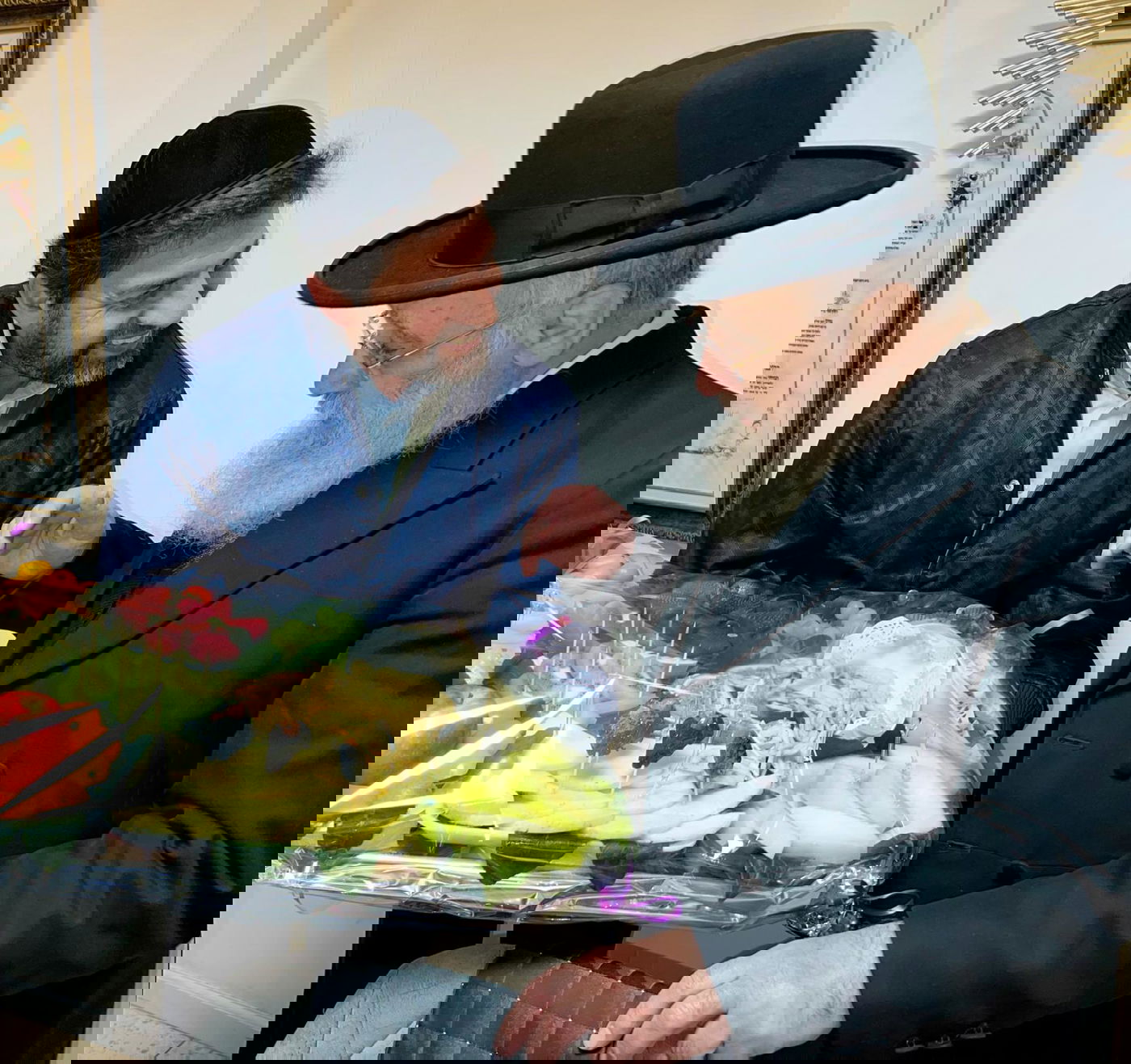 זופניק בכיכר • כל התמונות, הנייעס והחשיפות של השבוע