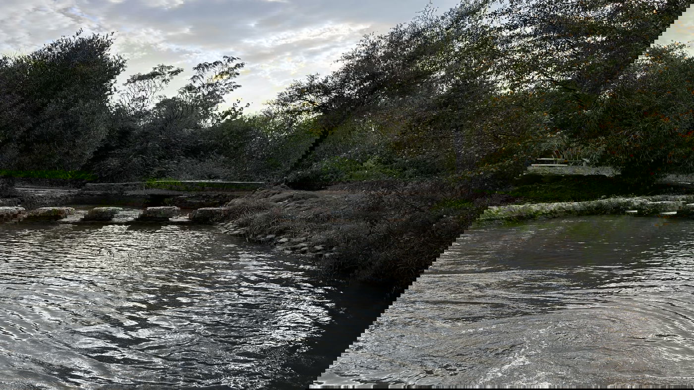 פארק הירדן בצפון הכינרת