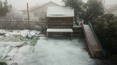 שלג בשומרון