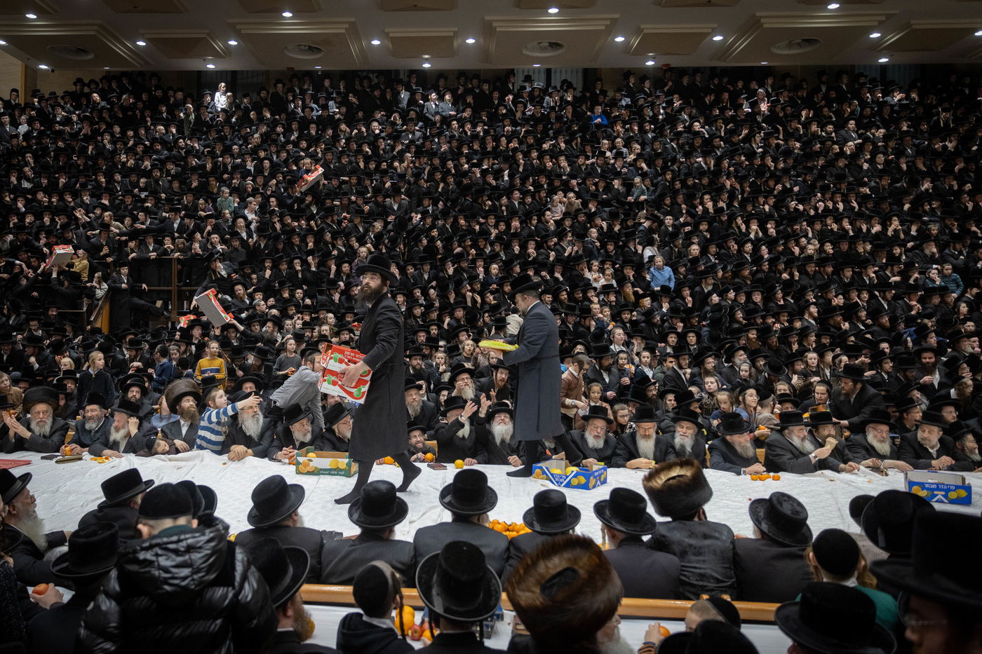 ט"ו בשבט בבעלזא