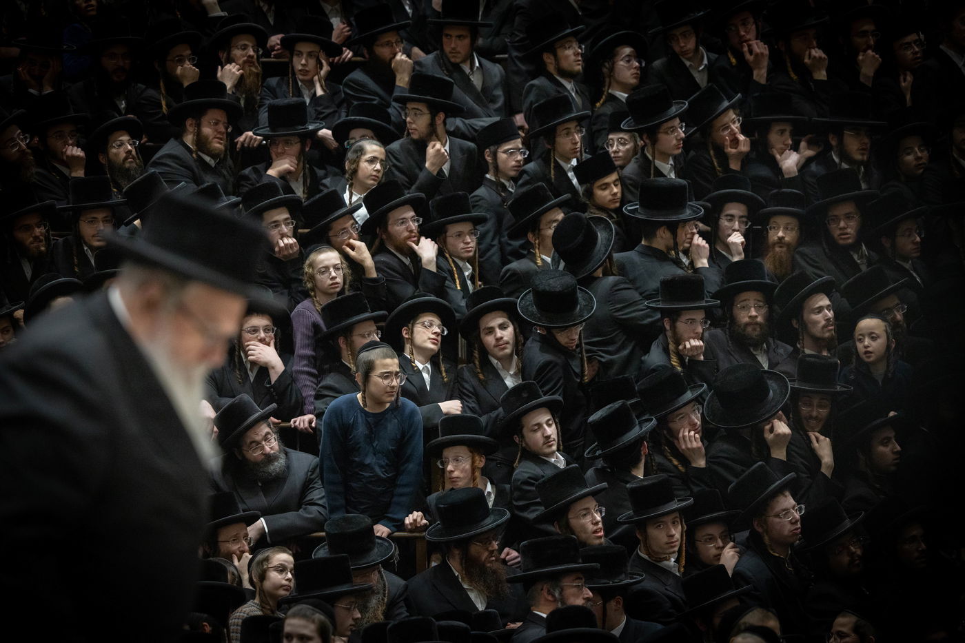 ט"ו בשבט בבעלזא