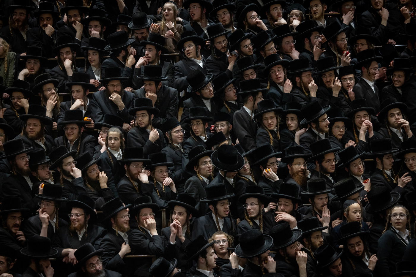 ט"ו בשבט בבעלזא