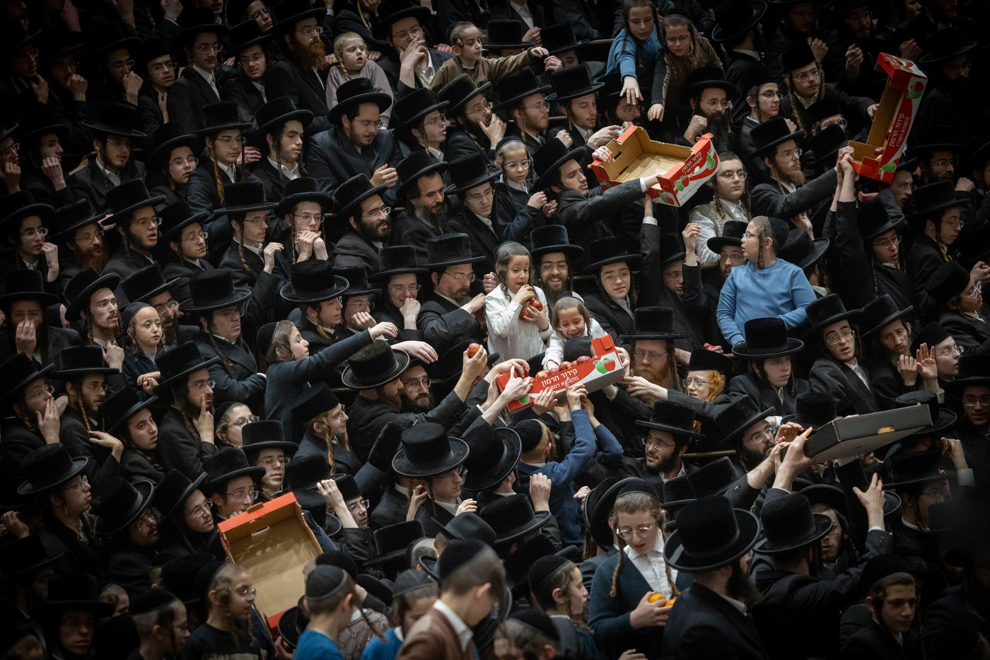 ט"ו בשבט בבעלזא