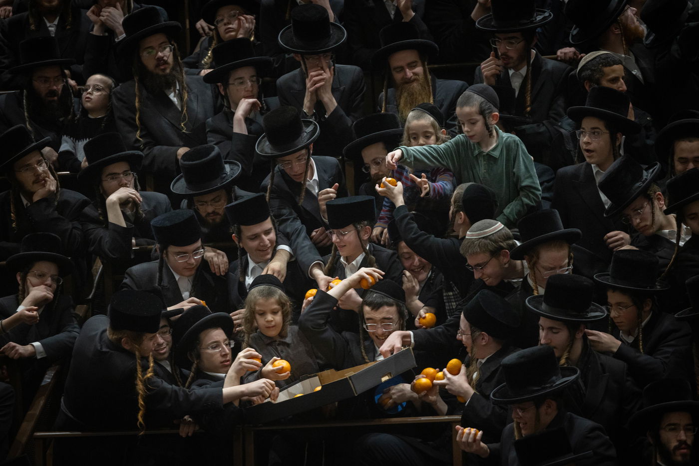 ט"ו בשבט בבעלזא