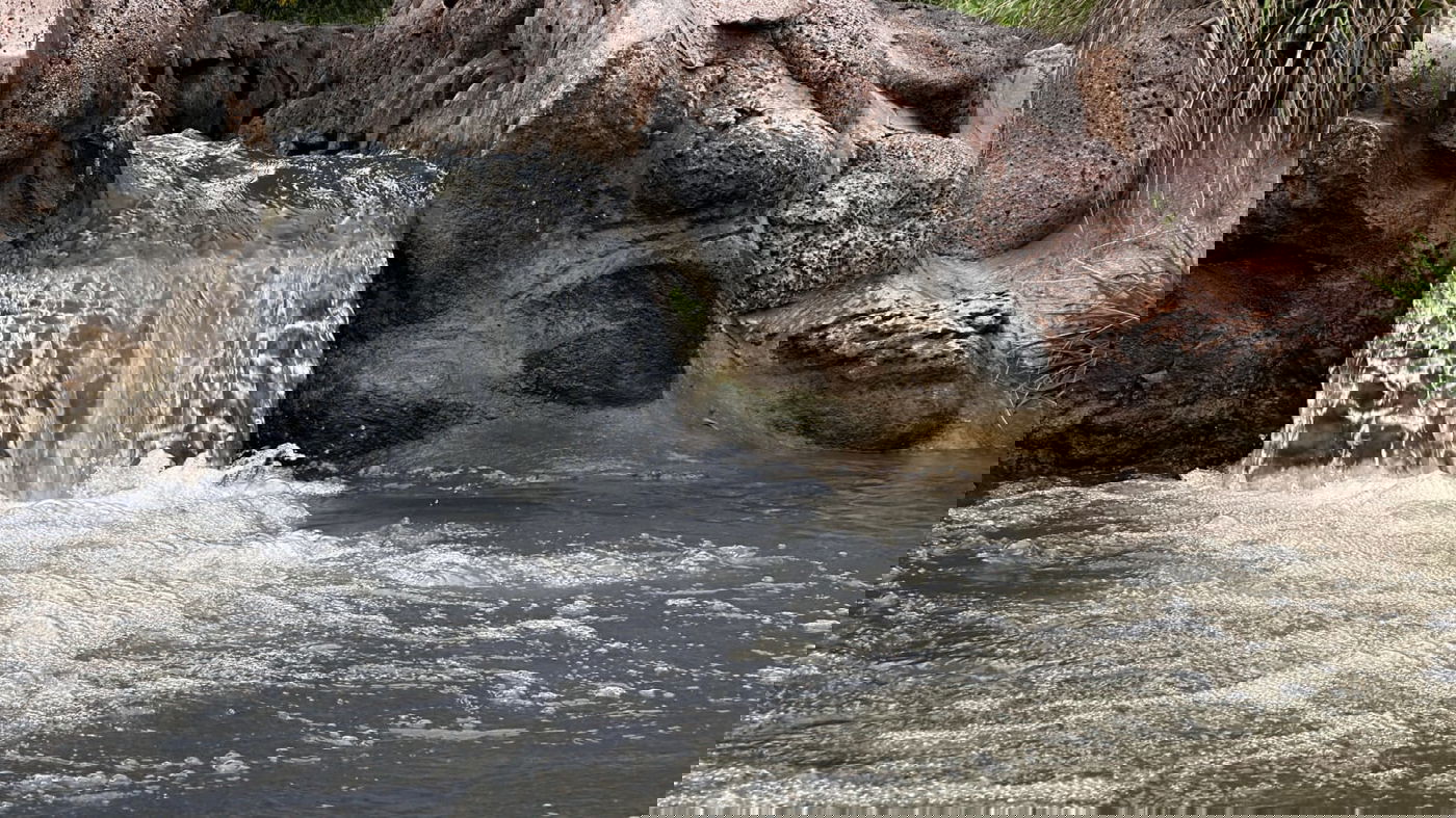 החורף בנחלים