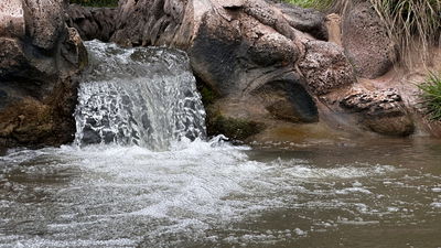 החורף בנחלים