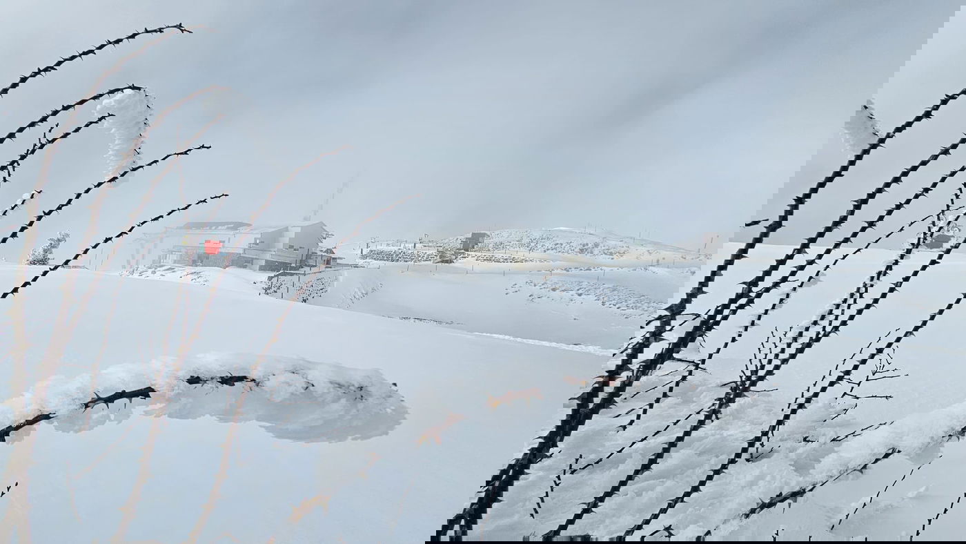 משרת המילואים תיעד את היופי המרהיב של החרמון המושלג