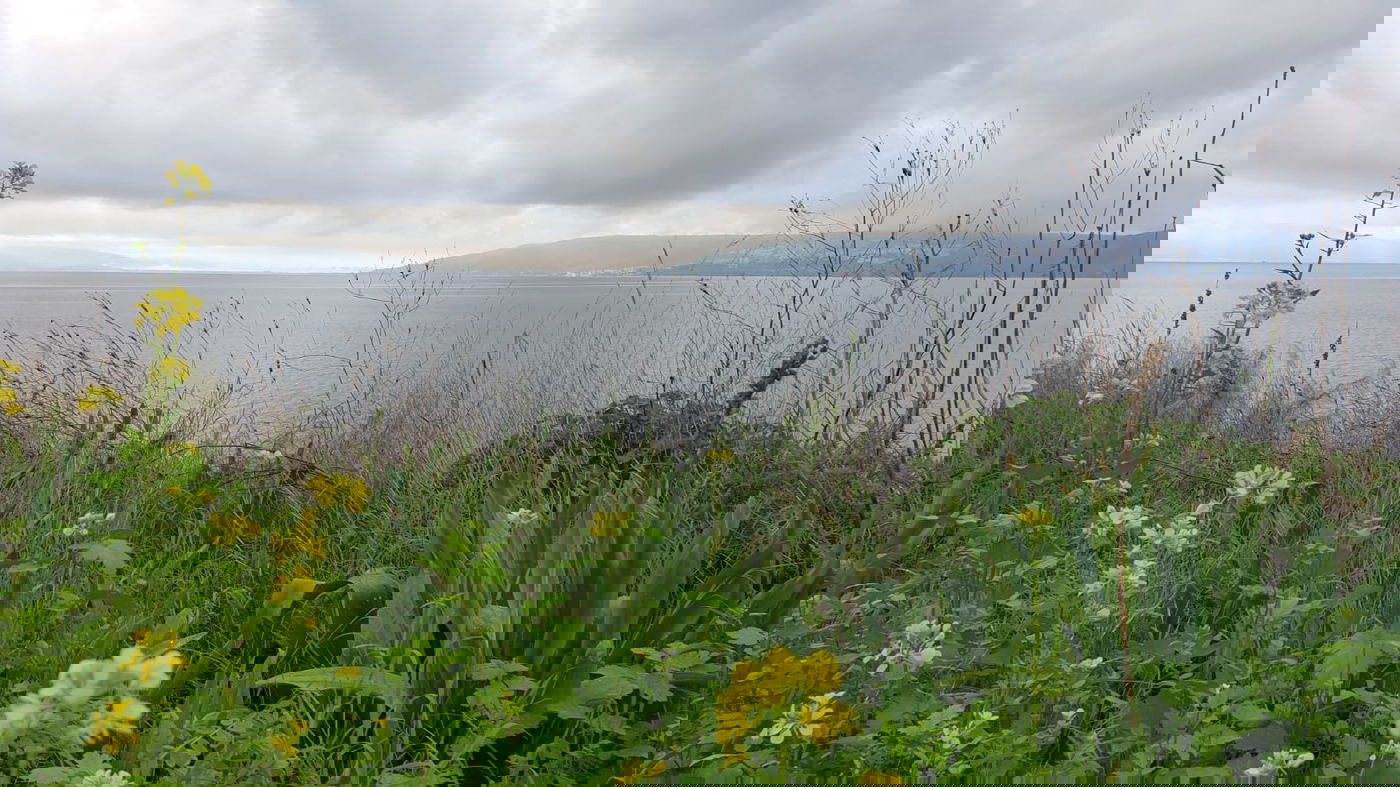 שביל סובב כינרת מכפר נחום, הבוקר