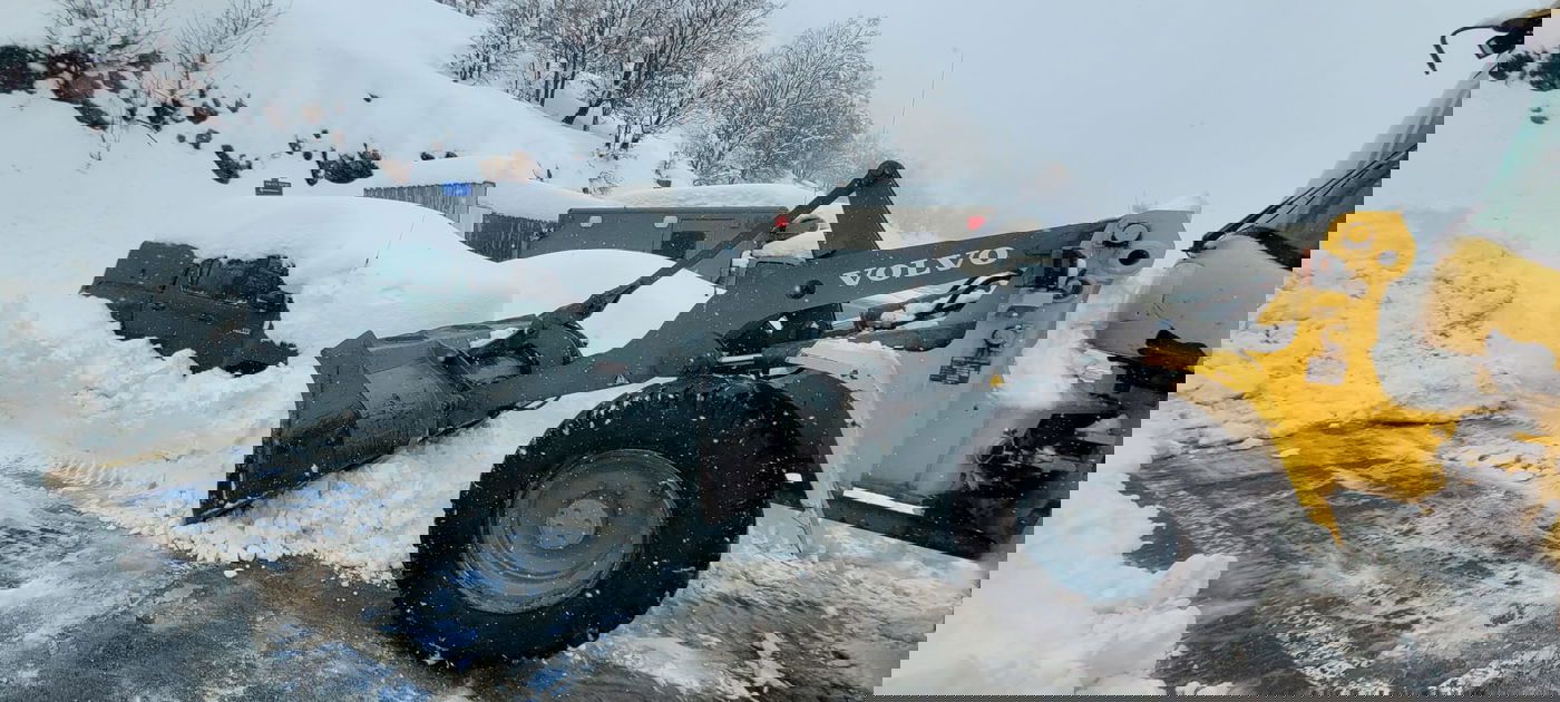 שקועים בשלג