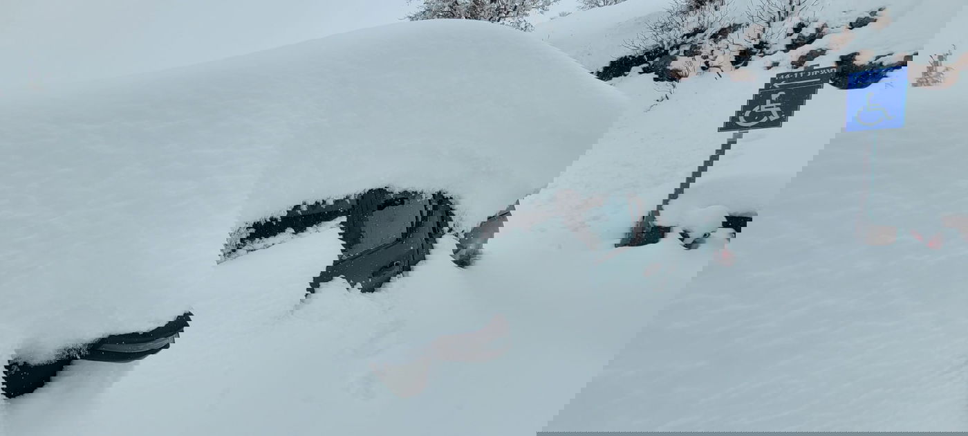 שקועים בשלג