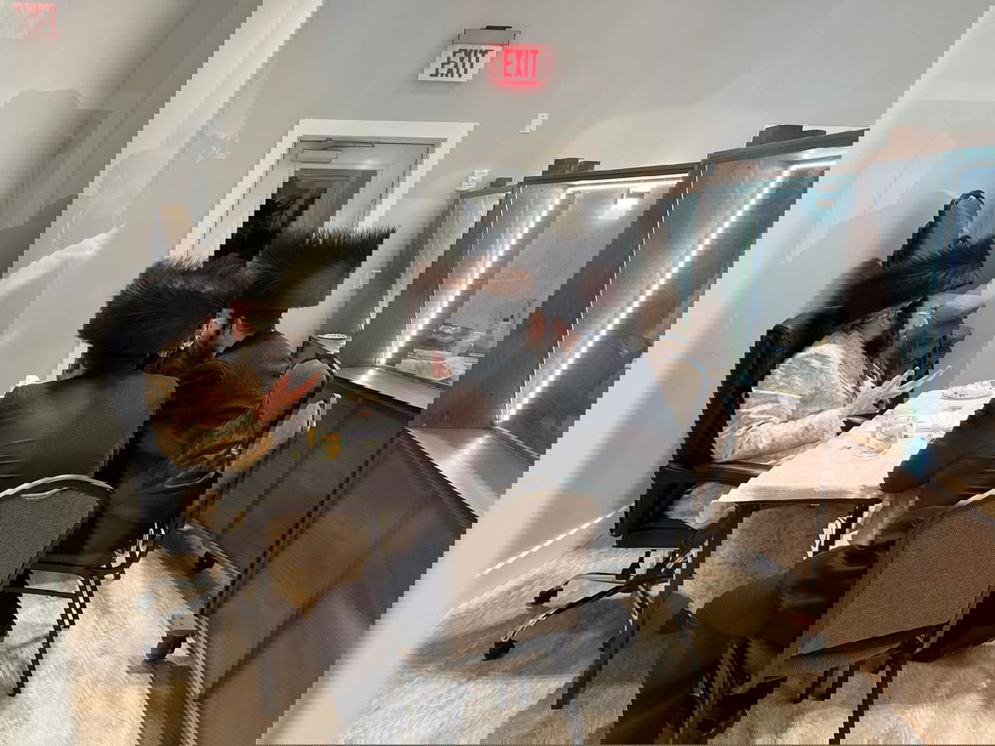 מסע האדמו"ר ממעז'יבוז' לארה"ב