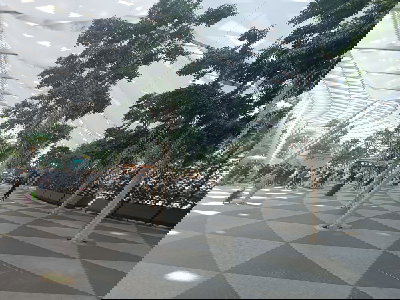 המפל המקורה הגבוה ביותר בעולם