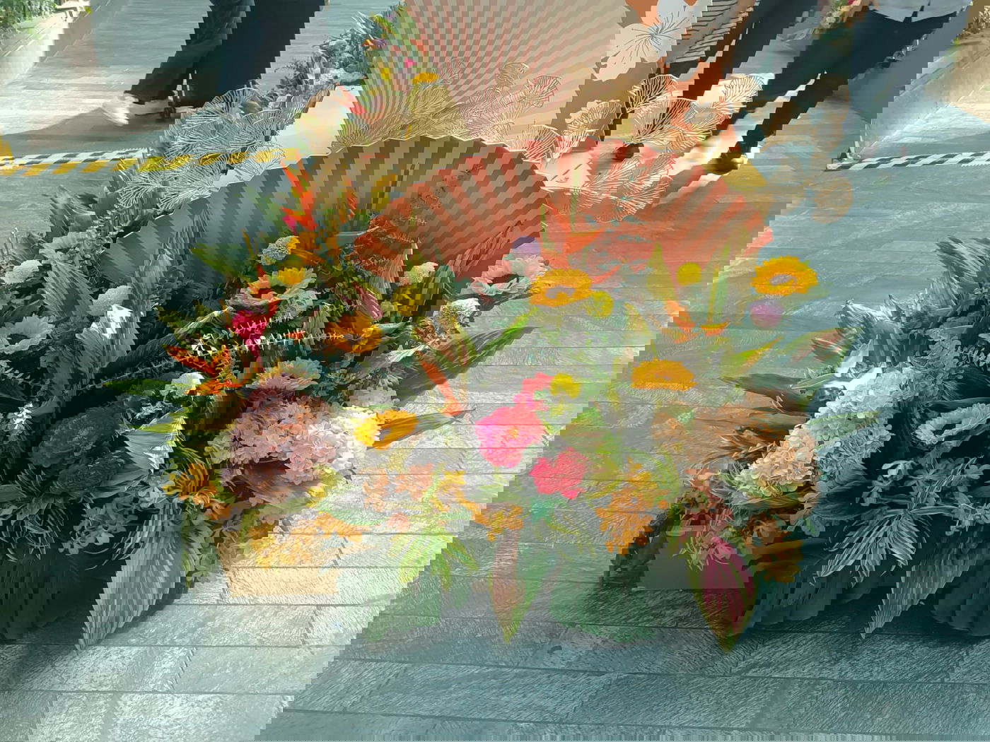 המפל המקורה הגבוה ביותר בעולם