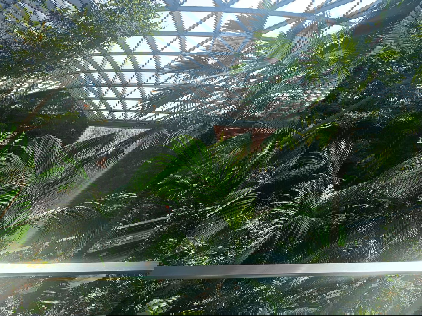 המפל המקורה הגבוה ביותר בעולם