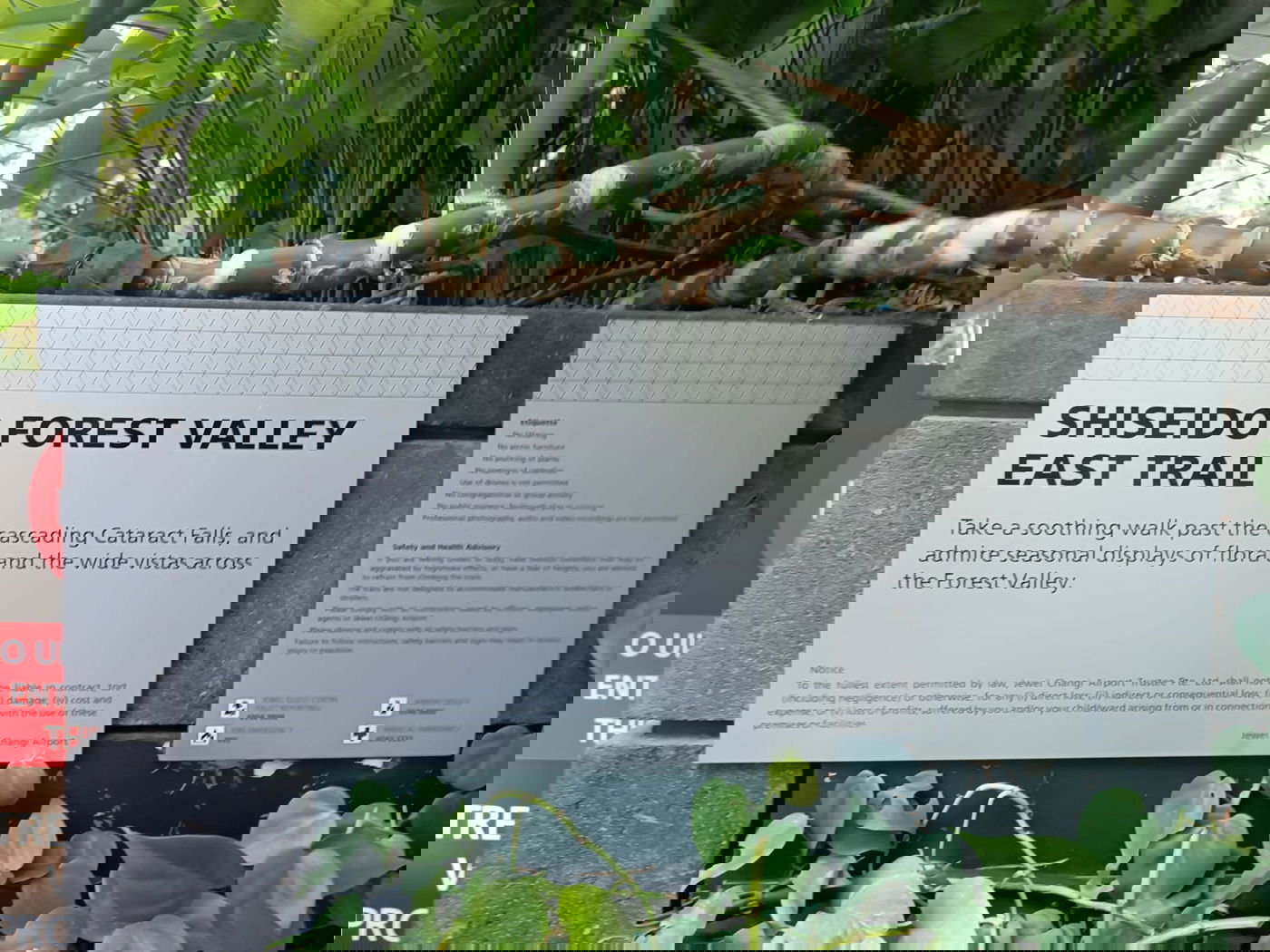 המפל המקורה הגבוה ביותר בעולם