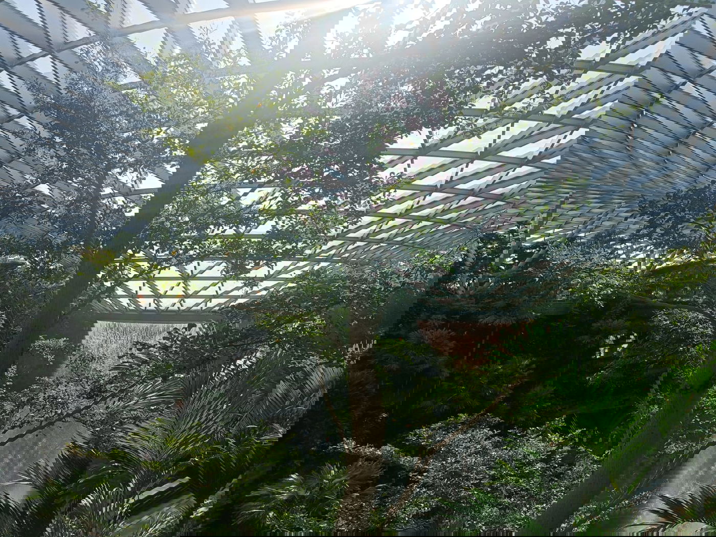 המפל המקורה הגבוה ביותר בעולם