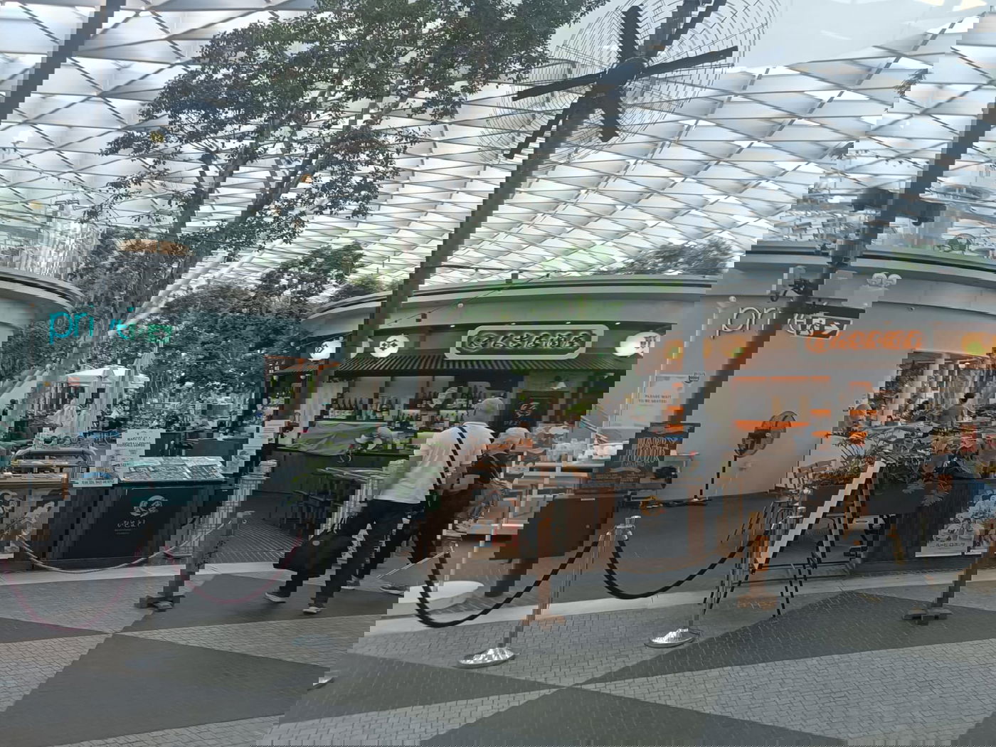 המפל המקורה הגבוה ביותר בעולם