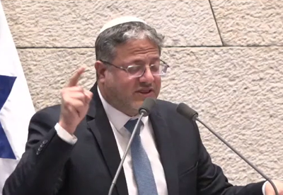 בן גביר, במליאה