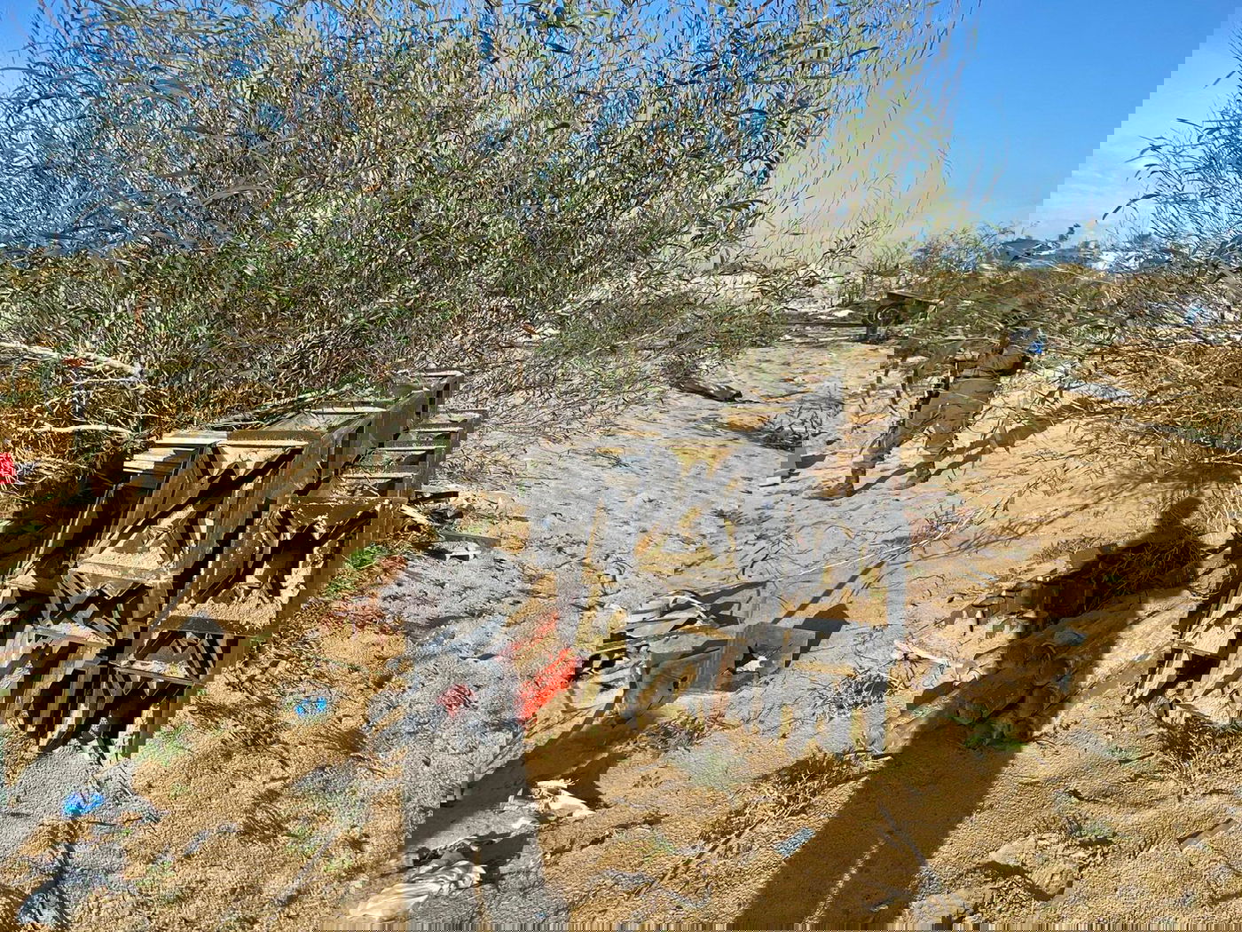 אמצעי הלחימה שאותרו