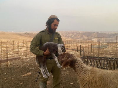 בעל החווה ינון כהן