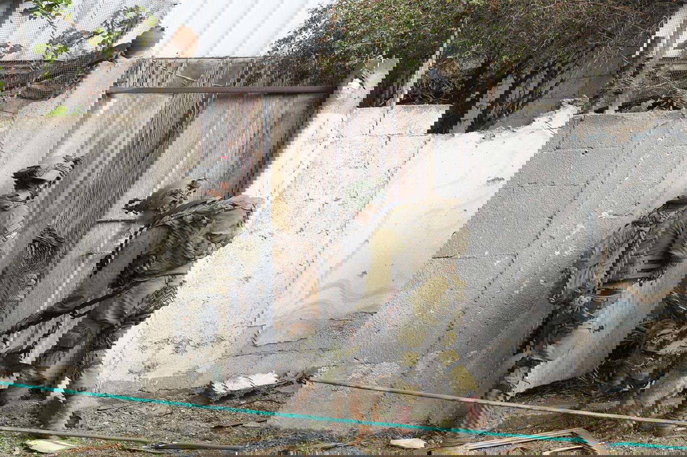 אש בצפון | דיווח: הנשיא ביידן לוחץ על ישראל - הפוגה של 4 חודשים מהלחימה • העדכונים