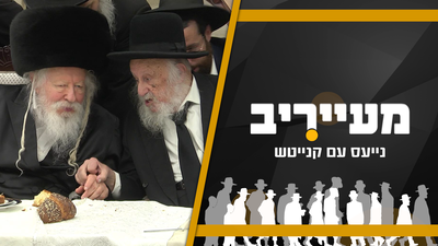 כיצד ישפיעו ההמלצות החדשות בגור על המגזר החרדי כולו • מעייריב