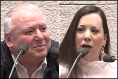 גוטליב ואמסלם, במליאה