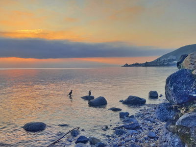 זריחה הבוקר על הכינרת 