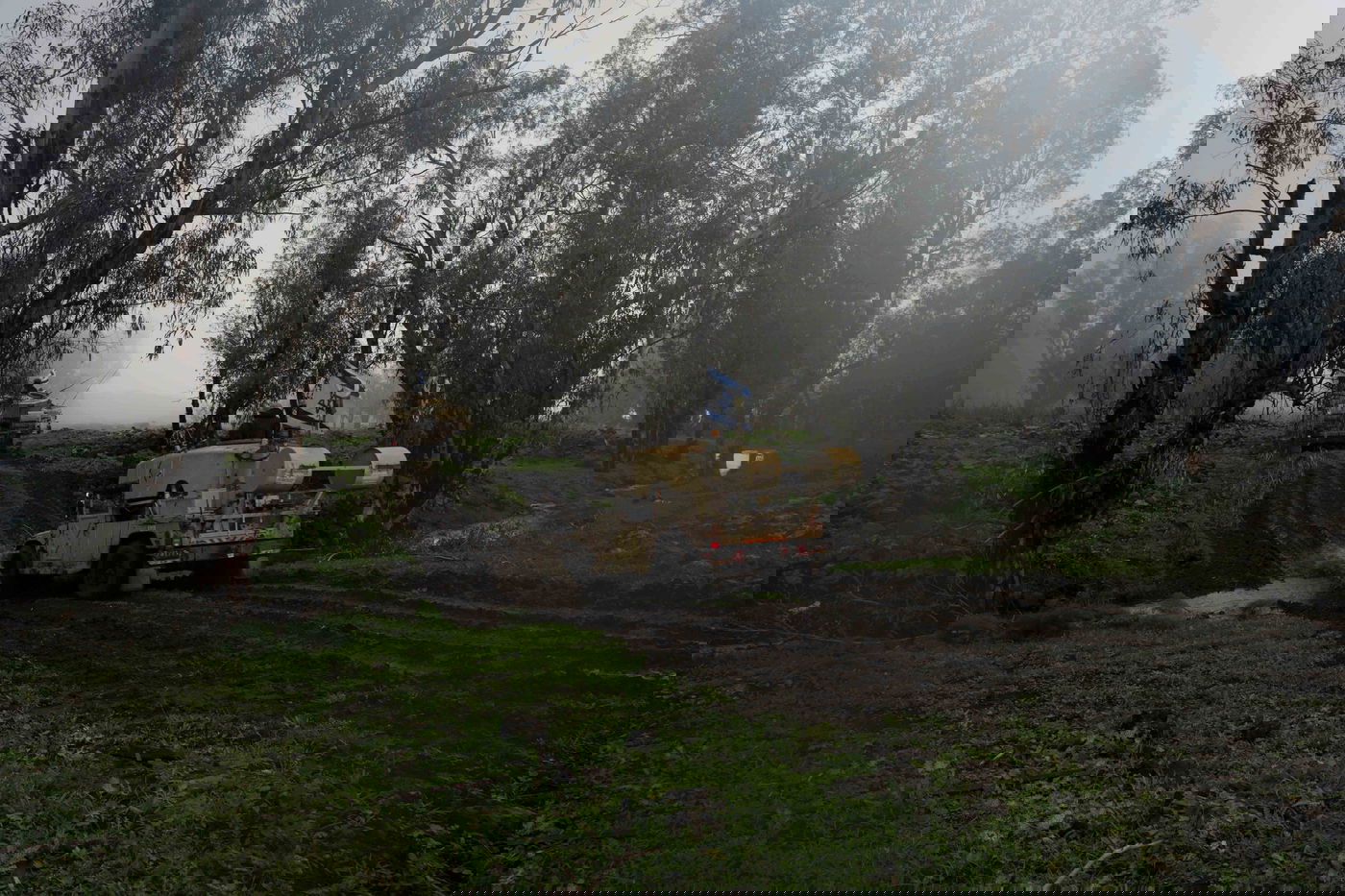 פעילות כוחות צה״ל בגבול הצפון