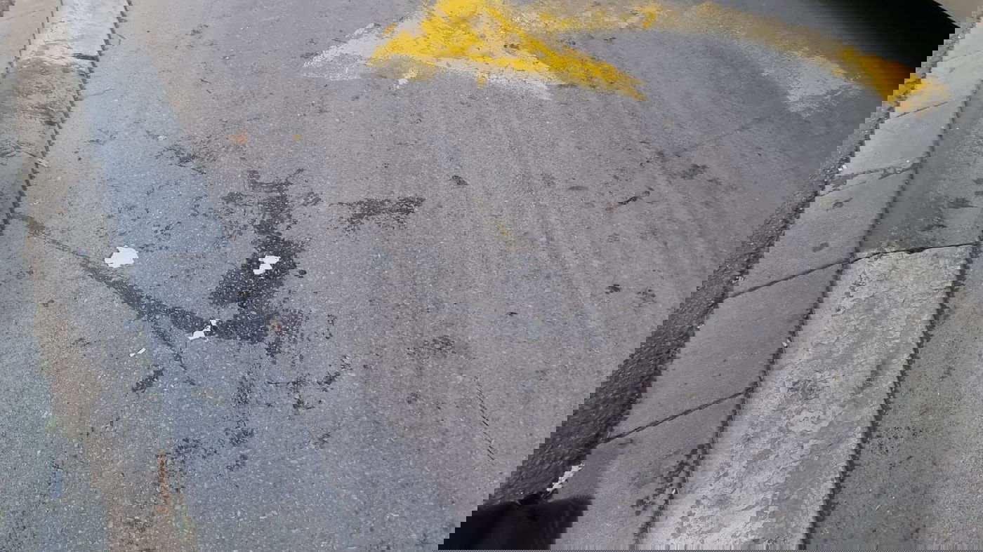 אחת הביצים שהושלכו